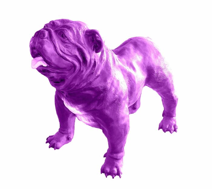 resin English bulldog figure