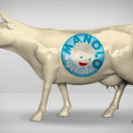 krowa gładka reklamowa z logo