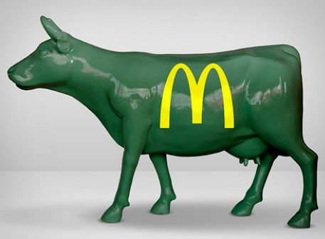 krowa gładka reklamowa McDonalds
