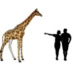 żyrafa naturalnej wielkości