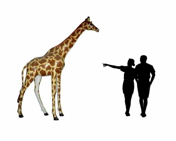 żyrafa naturalnej wielkości