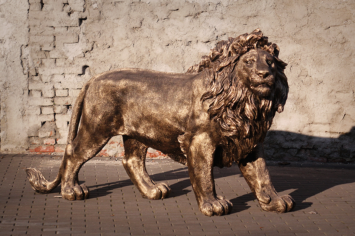 Lion XXL 2