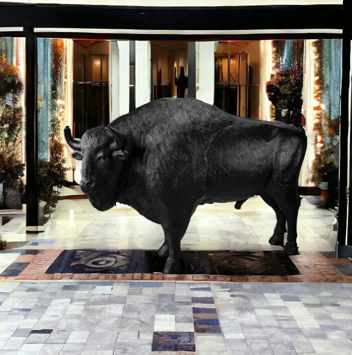 bizon hotel PhotoRoom